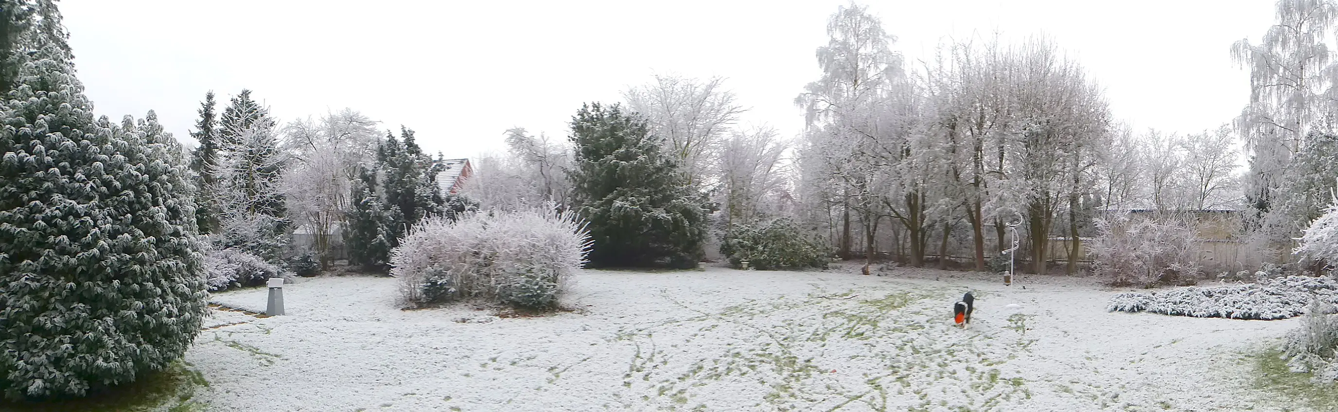 Advent 2021 (20).JPG