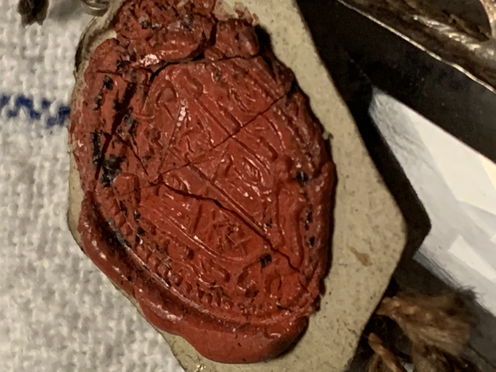 2BE77058-7B01-47DF-B465-D4A23D25EA7A.jpeg