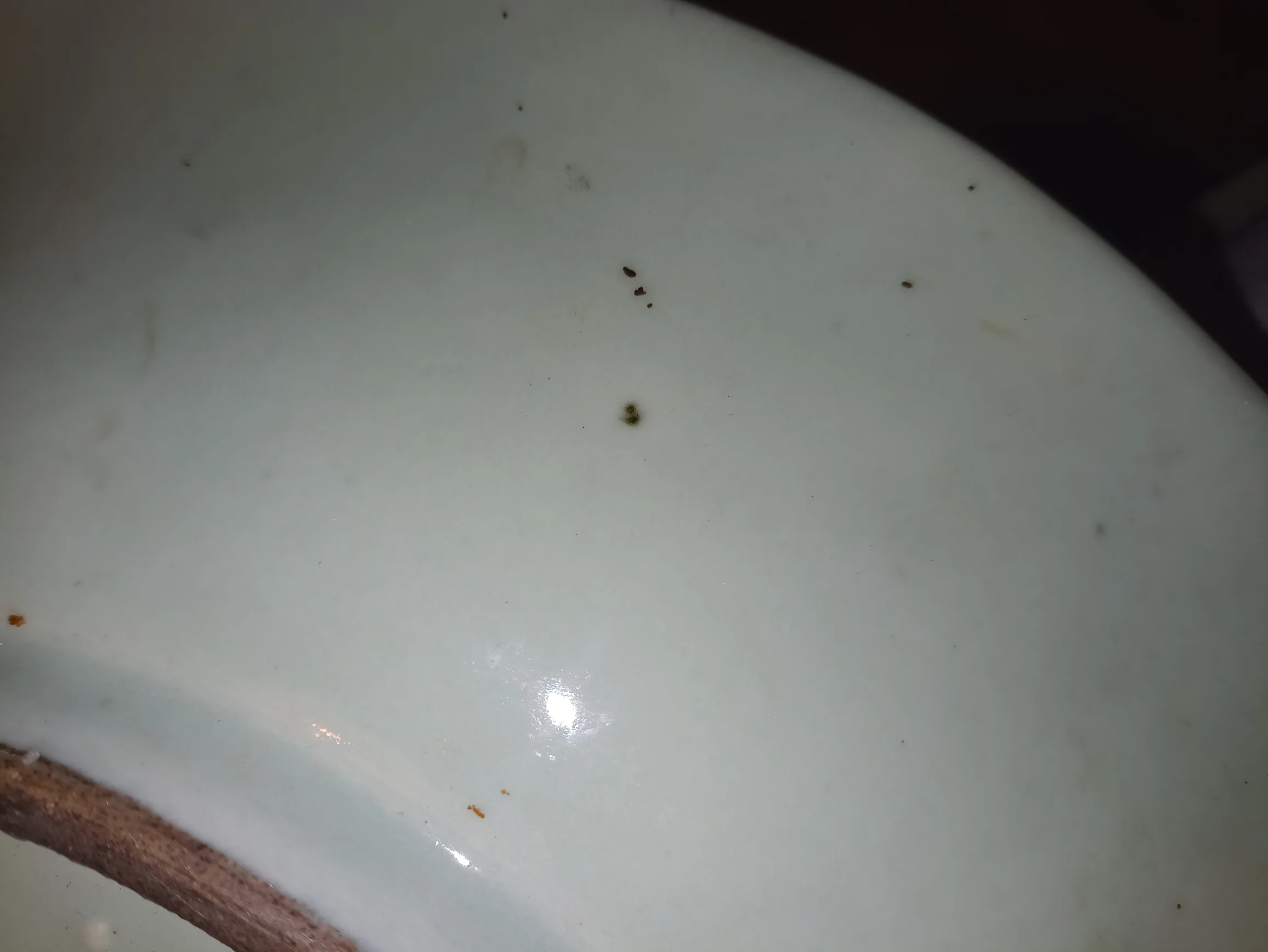 IMG_20220113_180806359.jpg