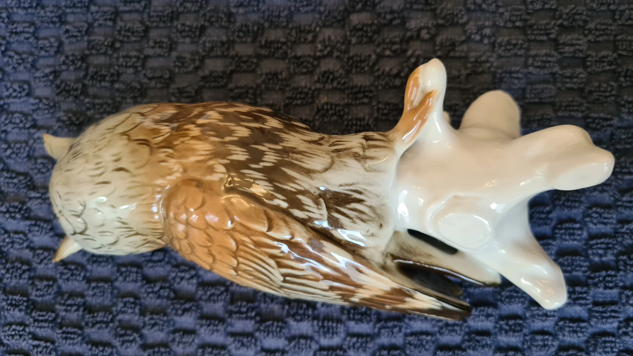 20220120_160451.jpg