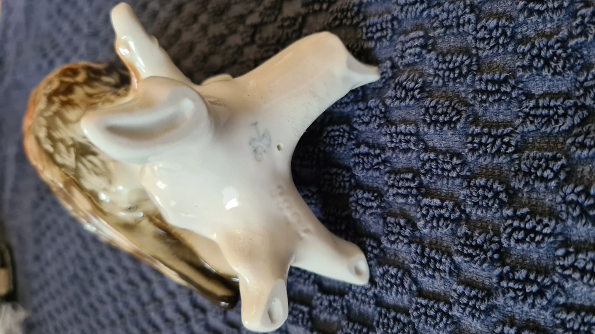 20220120_160532.jpg