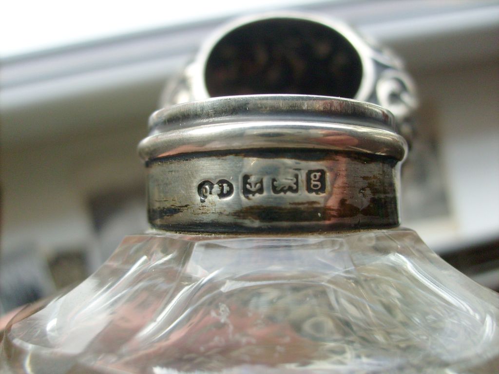 S7300843.jpg