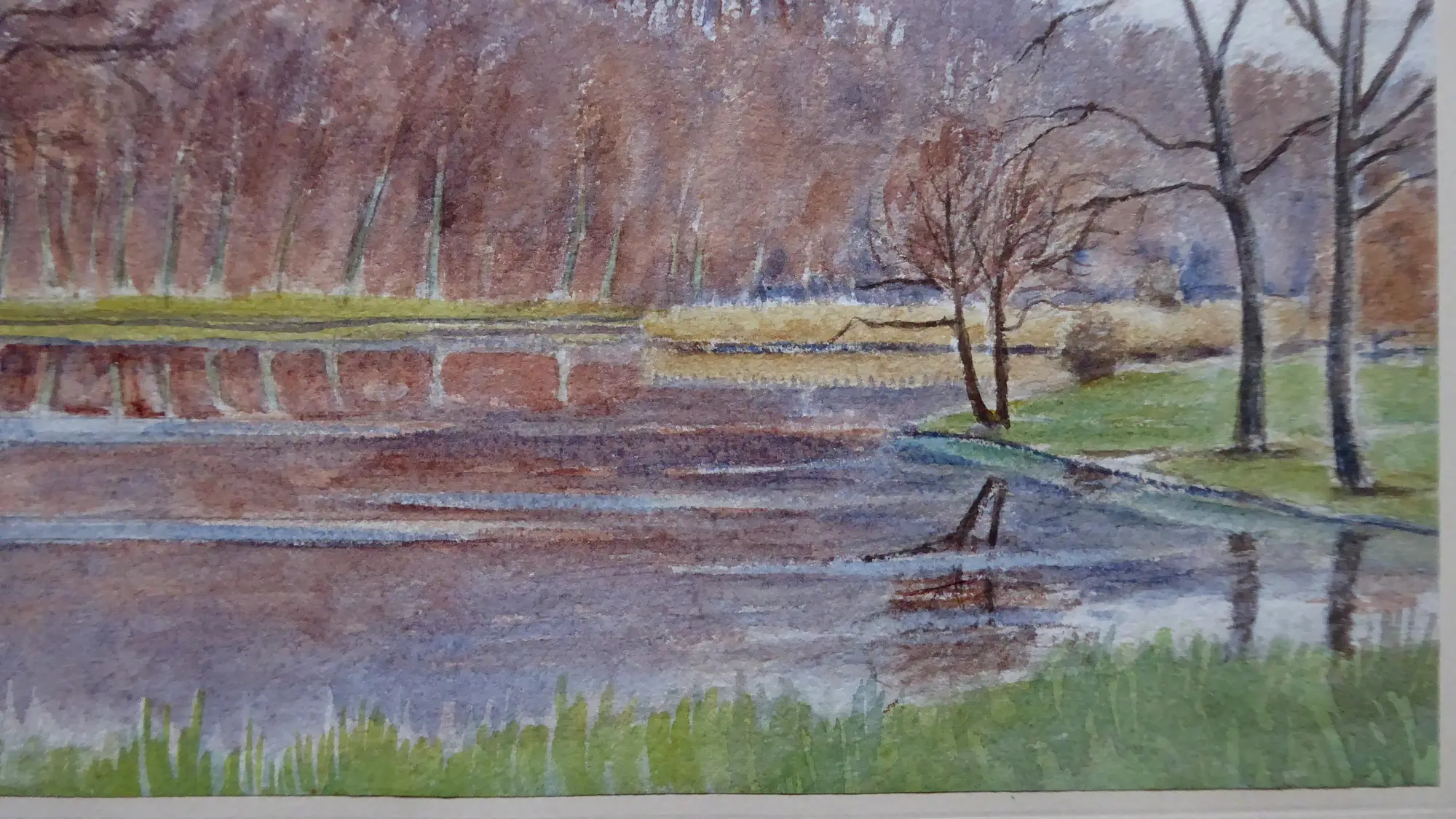 Wüst Weiher (4).JPG