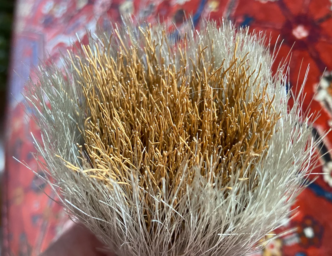 PinselA2.jpg