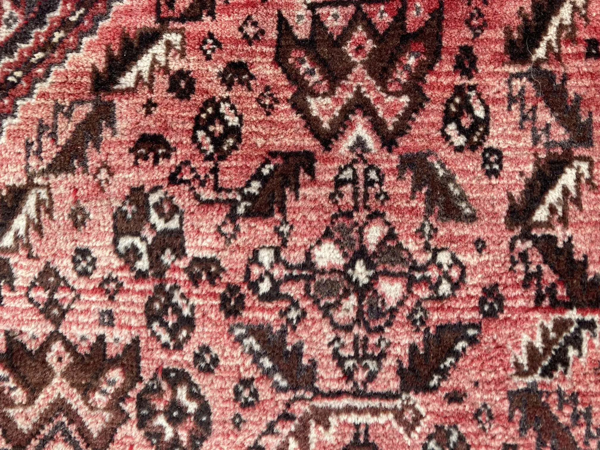17BC62F1-2221-472A-A211-8E8AE6917233.jpeg