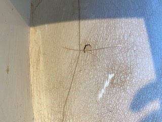 Antiker Brotkasten - Risse im Innenbereich