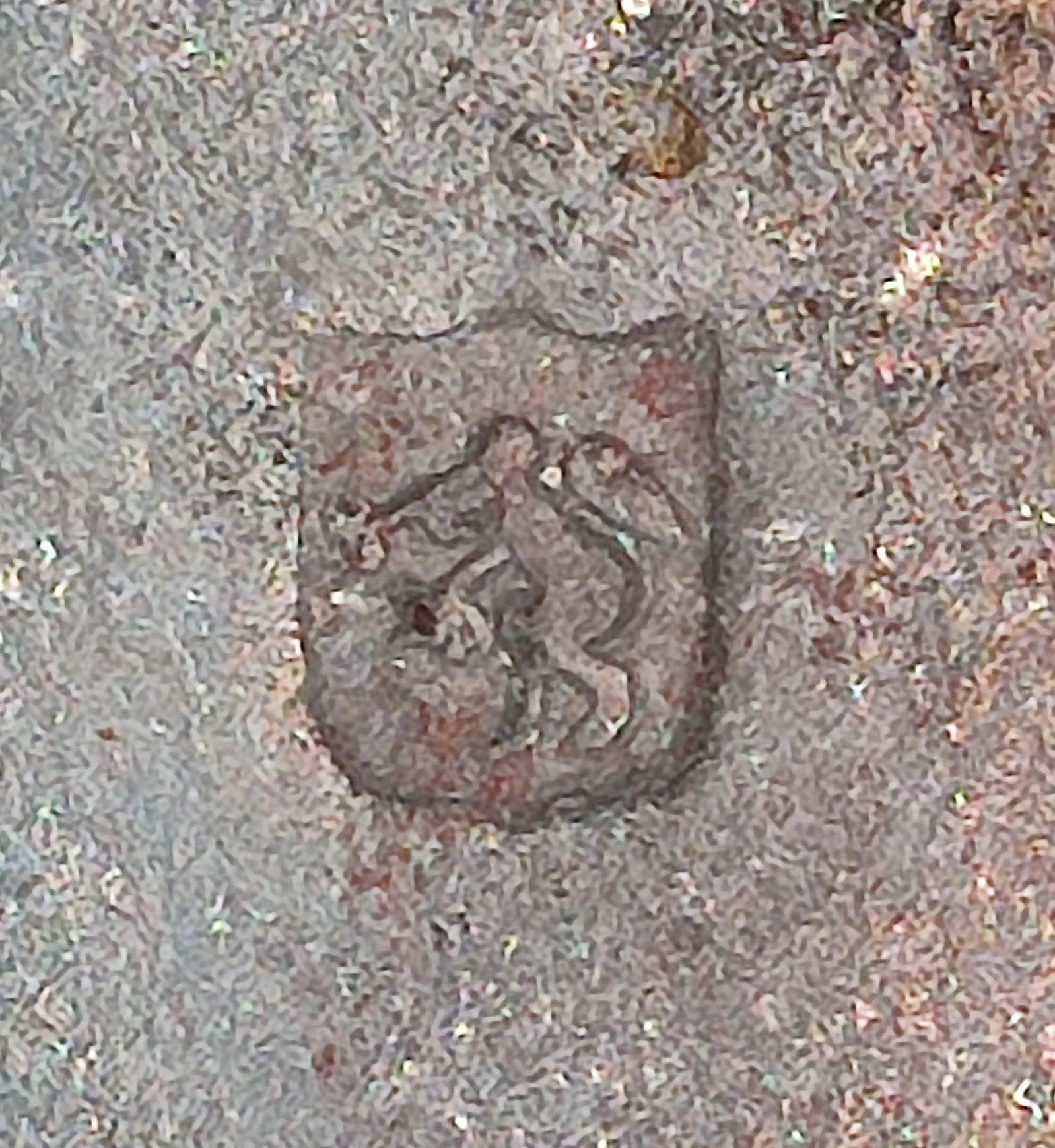 1647098116056.jpg