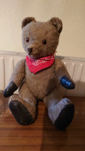 Teddy.jpg