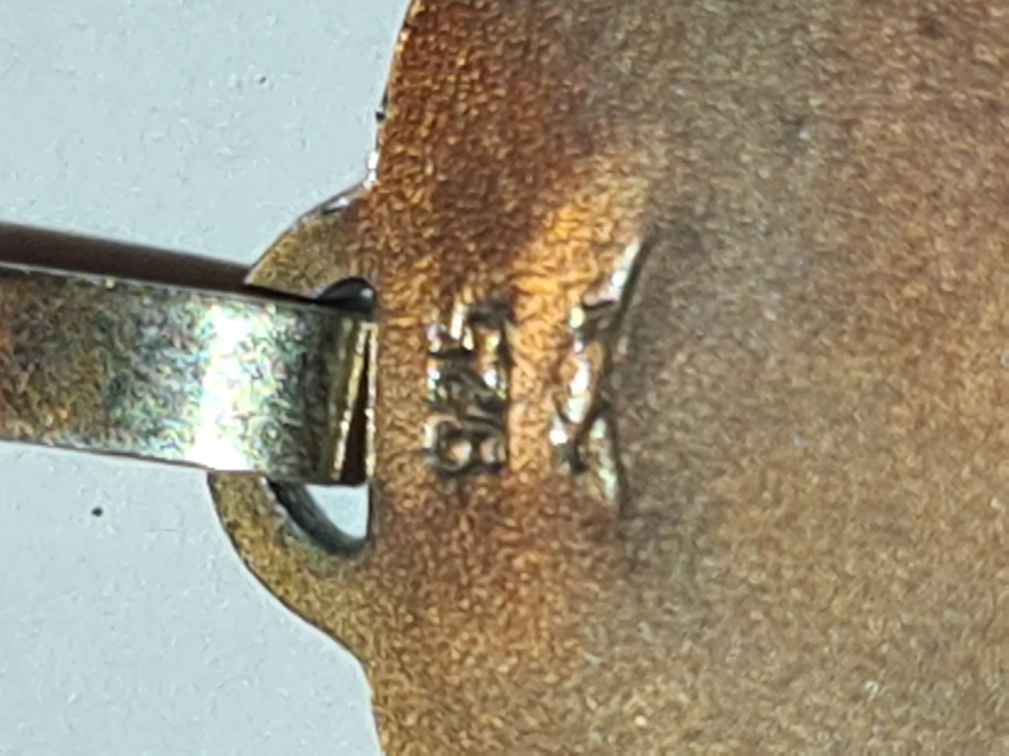 20220415_194555.jpg