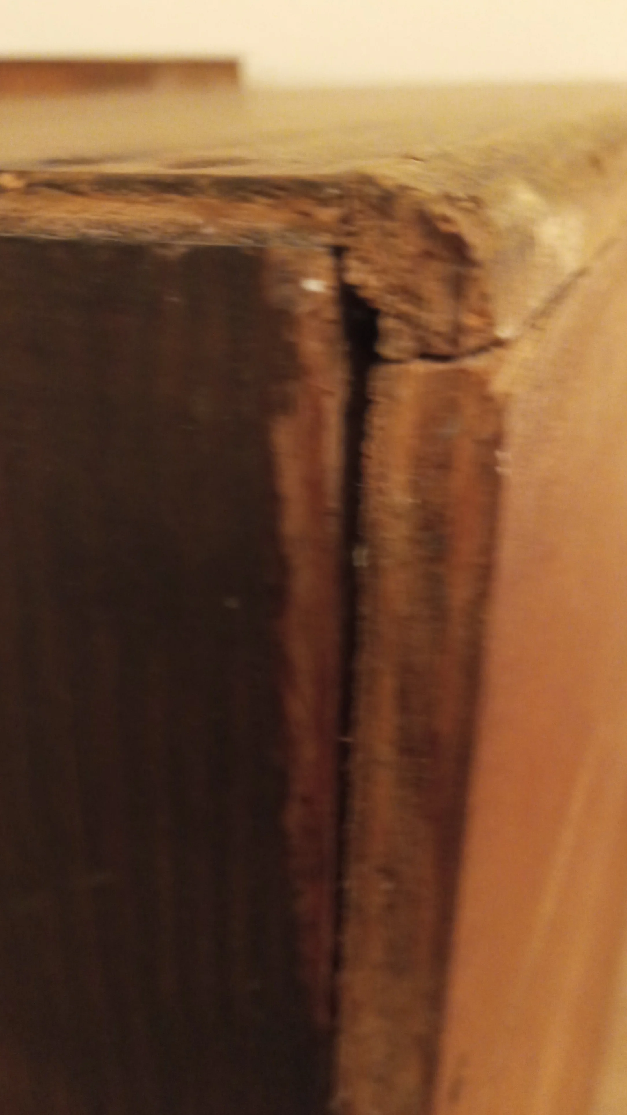 20220424_205702.jpg