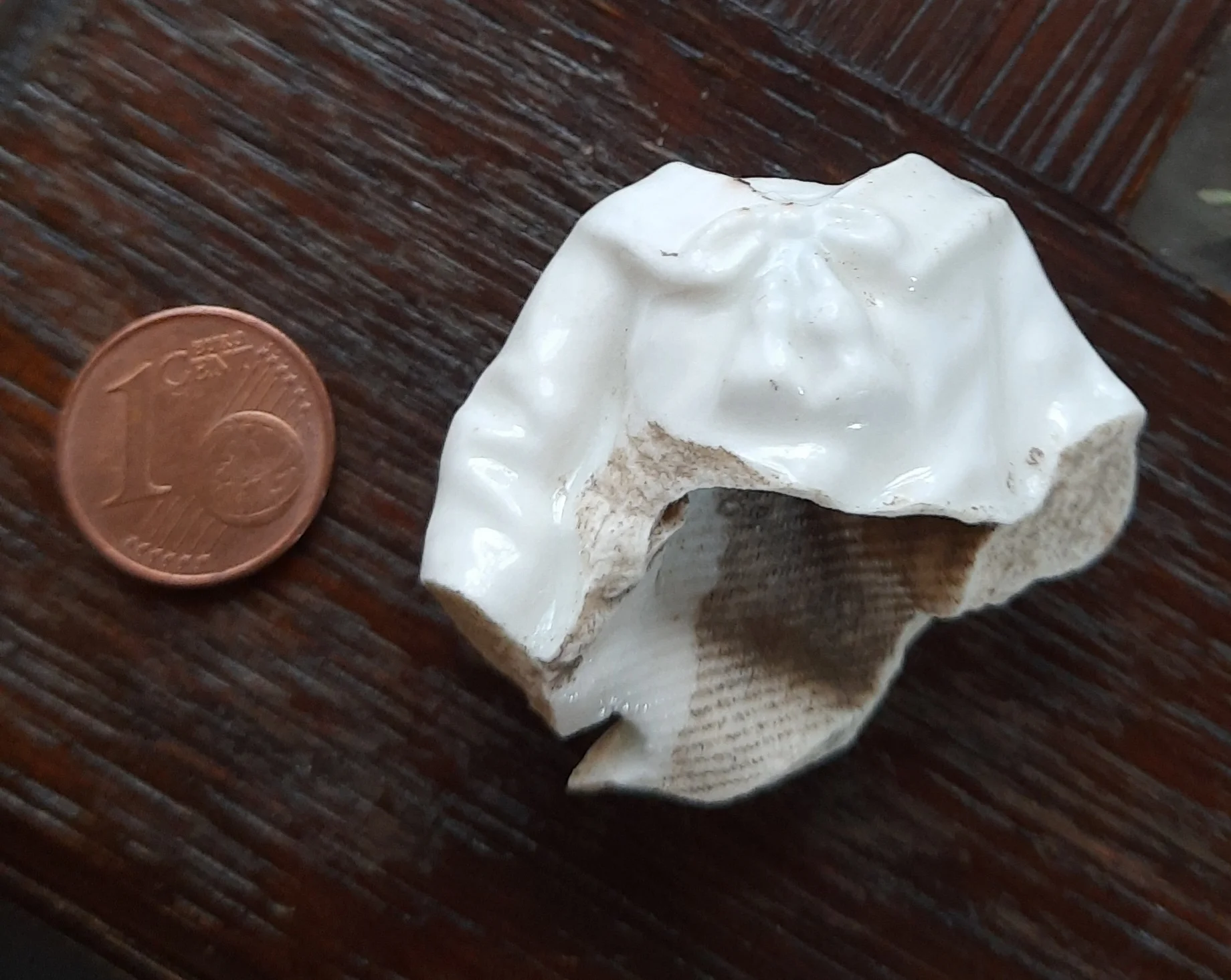 01 - Vorderansicht.jpg