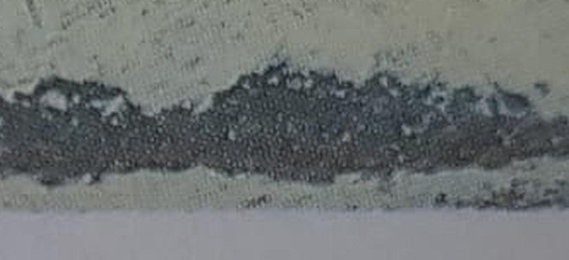 Raster Bildrandüber Signatur.jpg